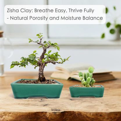 Set of 2 Zisha White Clay Bonsai Pot Glazed Shallow Succulent Planter Green