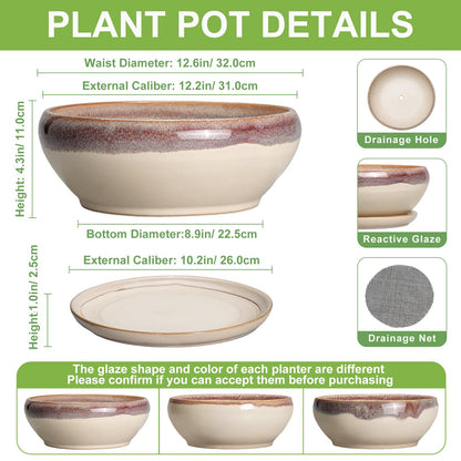 SQOWL Bonsai Pots 12 Inch - Large Ceramic Succulent Planters, Shallow Planter with Drainage Hole and Saucer, Round Bowl Planter for Indoor Outdoor Plants, Home Decor, Plant Lover Gifts, Beige