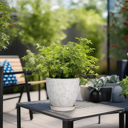 MPotTo 6 Inch Ceramic Plant Pot for Indoor Plants Outdoor Round Planter Flower Pot with Drainage Hole and Saucer for Home Garden Office Decor White