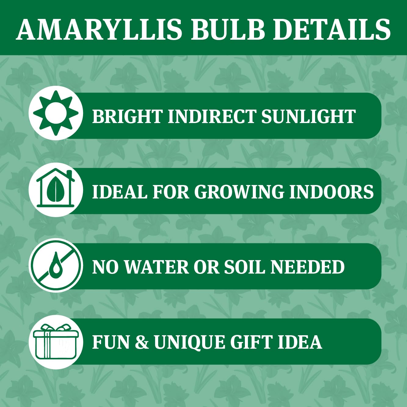 Blue Skies Waxed Amaryllis Flower Bulb with Stand, Grow Real Blooming Indoor Spring Flowers, No Water Needed