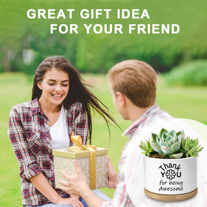Aryabtya Thank You Gifts for Women, Succulent Planter, Flower Cactus Plant Pot, Employee Appreciation Gifts for Coworkers Nurse Friends Women, Thank You for Being Awesome (No Plants)