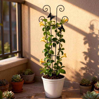 Trellis for Climbing Plants Indoor 4 Pack 30 Inch,Rustproof Metal Garden Trellis for Potted Plants,Sturdy Houseplant Support Indoor Outdoor for Ivy Pothos Monstera Hoya Flower Vine ﻿ ﻿ ﻿ ﻿