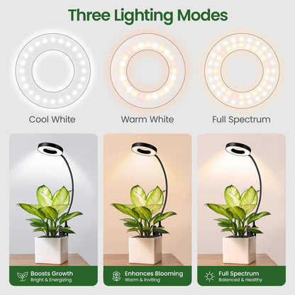 LORDEM Indoor Plant Grow Lights with 6/8/12/16H Auto Timer, 3 Spectrum Modes, Full Spectrum LED, Adjustable Height, for Small Plants, 1Pack Black