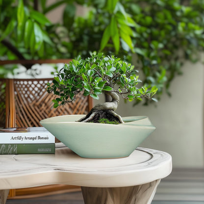 EPFamily Bonsai Pot - 12 Inch Ceramic Planter Pot with Drainage Hole Large Modern Planter Decorative Glazed Succulent Plant Pot for Indoor Outdoor Plants Green