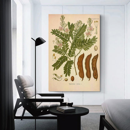 Tamarind Tree Plant Knowledge Poster Canvas Wall Art Posters For Room Aesthetic And Decor Poster For Bedroom Living Room Bathroom Kitchen Office Decor 24x36inch(60x90cm) Unframe-style