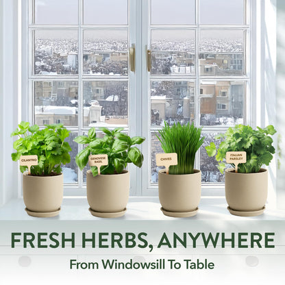 HOME GROWN Indoor Organic Herb Garden Kit, Unique Valentines Day Gift for Adults, Men, & Women,Grow 4 Herb Seeds for Kitchen Window Garden,Beginner DIY Hobby Gardening Gift for Plant Lovers, Mom & Dad