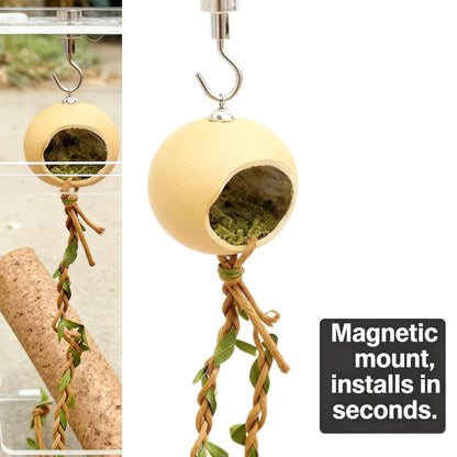 Jumping Spider Hideout - Wood Habitat with Magnetic Mount Spider Climbing Platform Suitable for Jumping Spiders and Other Small Insects