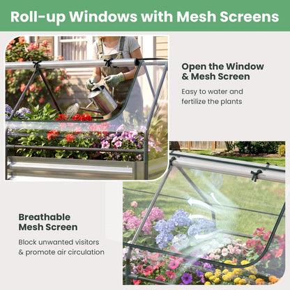 MAT EXPERT Raised Garden Bed with Cover, Mini Greenhouse Metal Planter Box w/PVC Cover, Roll-Up Windows & Mesh Screens, Outdoor Planter Box Kit for Vegetables, Flowers, Herbs (Silver, 72” x 36” x 48”)