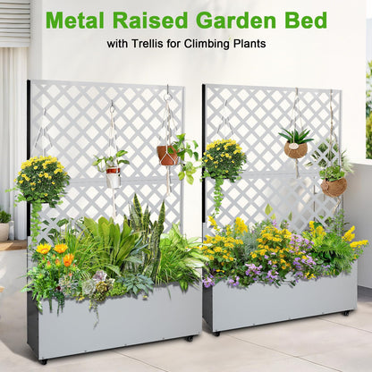 Metal Planter Box with Trellis Privacy Screen, Raised Garden Bed with Trellis & Wheels, Privacy Planters for Patio, Planter Box with Drainage Holes for Climbing Plants, Flower, 73"x 47"x 12", White