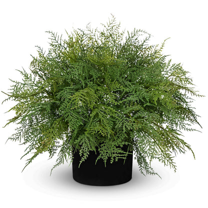 Hollyone 16.9" Artificial Cedar Fern Faux Cedar in Pot Fake Ferns for Outdoors Indoor Large Ferns Faux Potted Plants Greenery Bush for Door Patio Garden Farmhouse Windowsill Office Room Home Decor
