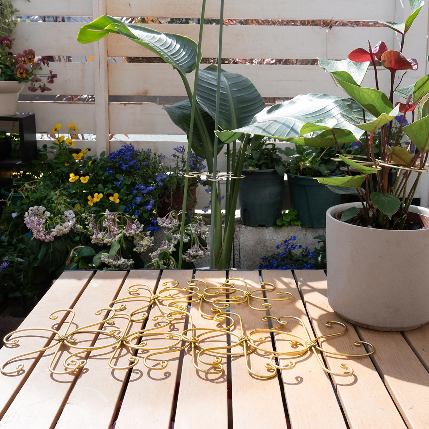 5PCS Monstera Plant Stem Support Stakes - 5.5 * 5.5IN Metal Supports for Monstera and Fishbone Cactus, Sturdy Frame, Easy Installation, Flexible Protection for Healthy Growth Indoors