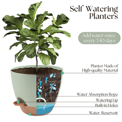 TYMENSH Plant Pots 12/10/9 inch Set of 3, Self Watering Flower Pots Indoor Outdoor, Planters with Drainage Hole Saucer Reservoir, Green
