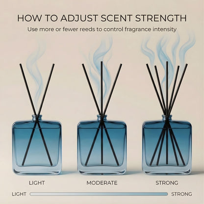 Reed Diffuser Set for Home Fragrance – 100ml Summer Sea Breeze Aromatherapy Diffuser with Reed Sticks, Long Lasting Flameless Fragrance for Bedroom, Bathroom & Living Room, Decorative Glass Bottle