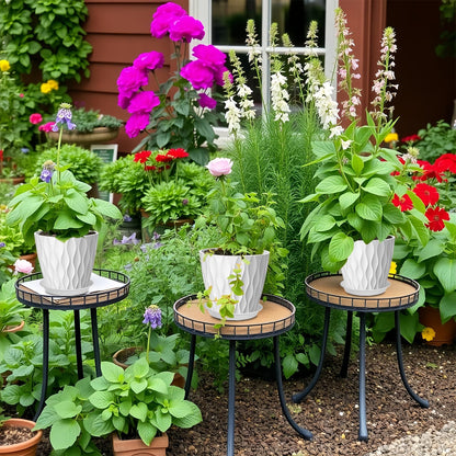 zople 10 Pack 5 Inch Plant Pots with Drainage and Saucers, White Plastic Flower Pots for Indoor and Outdoor Plants, Stackable Nursery Planters for Houseplants and Herbs, White