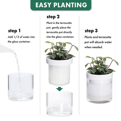 Phoenix Vine 4 Inch Self Watering Planter, White Terracotta Clay Pot with Glass Reservoir for Indoor Plants, Herbs, Flowers, Set of 1, 52-B-E-1