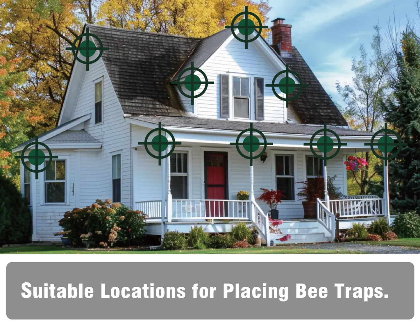Carpenter Bee Trap for Outside - Best Bee Trap - Blue Cabin Style Nature Hanging Wood Carpenter Bee Traps Outdoor - Insect Traps with Removable Vault (1 Pack)