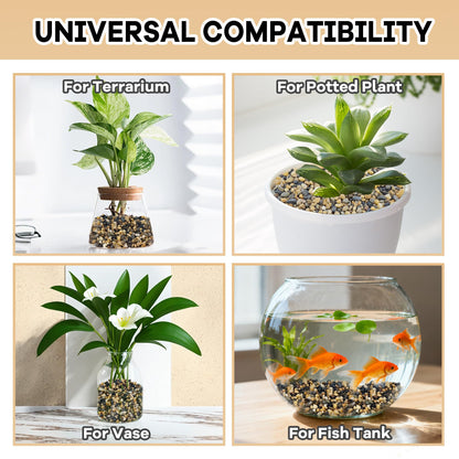 11 pounds Natural Small Pebbles, Polished Decorative Rocks for Succulents Gravel Pebbles for for Indoor and Outdoor Plants, Fish Tank, Hydroponics，Bonsai(5-8mm)