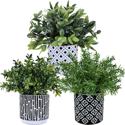 Winlyn 3-Pack Artificial Potted Plants - Faux Eucalyptus, Rosemary, Boxwood Greenery in Small Black & White Geometric Concrete Pots -Desk, Table, Shelf, Windowsill Decor for Indoor Outdoor Home Office