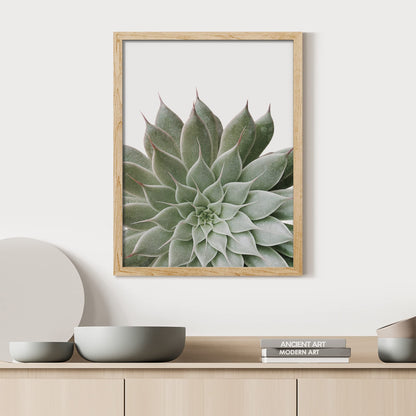 SIGNWIN Framed Desert Succulent Wall Art, Close Up Echeveria Green Flower Wall Decor Prints, Nature Wilderness Wall Décor for Living Room, Bedroom - 12"x16" Natural