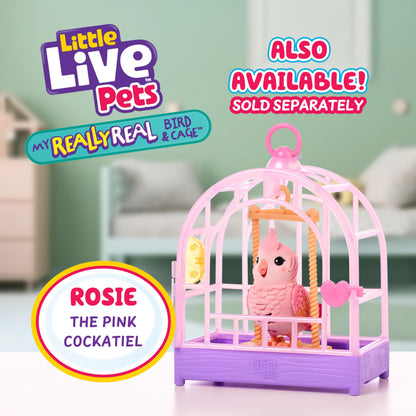 Little Live Pets My Really Real Talking Bird Toy & Cage - Indie, Interactive Voice Repeating Toy, 20+ Sounds & Reactions, Talking Toys for Kids 5-7