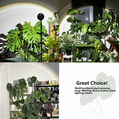 LYCereal Standing Grow Light with Timer 4/8/12H, 20W Full Spectrum Vertical Grow Lights for Indoor Plant Growing, Wide Coverage, 5.24FT to 6.88FT Height Adjustable, Ideal for Large Tall Plants
