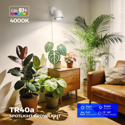 Barrina TR40a Track LED Grow Lights for Indoor Plants, 15°-60° Adjustable Beam Angle, 40W 4000K Wall Mounted Plant Light, Full Spectrum Ceiling LED Growing Lamps with Timer, White Cover, 1-Pack