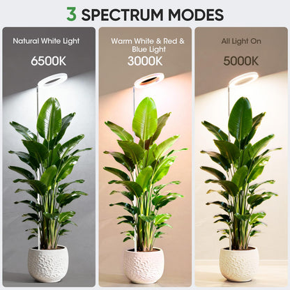 PlantaPulse Grow Lights for Indoor Plants, 72 LED 6500K Full Spectrum, 59in Tall Plant Light, 3 Color Grow Lamp with Rotating Gooseneck, 8/12/16H Timer, 10 Brightness Levels, Height Adjustable
