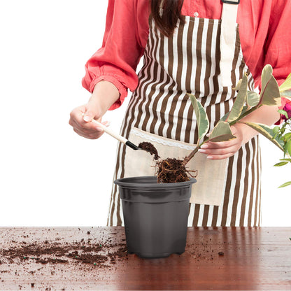Oubest Plastic Black Plant Nursery Pots 6" 100 pcs 0.5 Gallon for Flower Plant Container Seed Starting Seedlings Reusable Transplanting Succulent Propagation Planting Pots