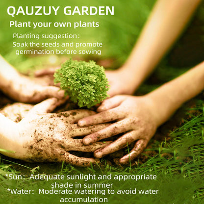 QAUZUY GARDEN 15 Golden Shower Seeds, Purging Cassia, Indian Laburnum, Pudding-Pipe Tree, Gold Rush Yellow Cassia Fistula Flower - Attract Pollinators - Showy Tree Accent