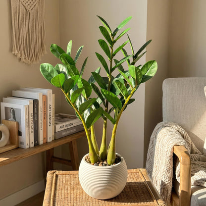 TentoWhan（2Packs Faux Plants Indoor 17" Artificial ZZ Plants in White Pot Fake Potted Zamioculcas Silk Plants for Home Table Decor Bedroom Aesthetic