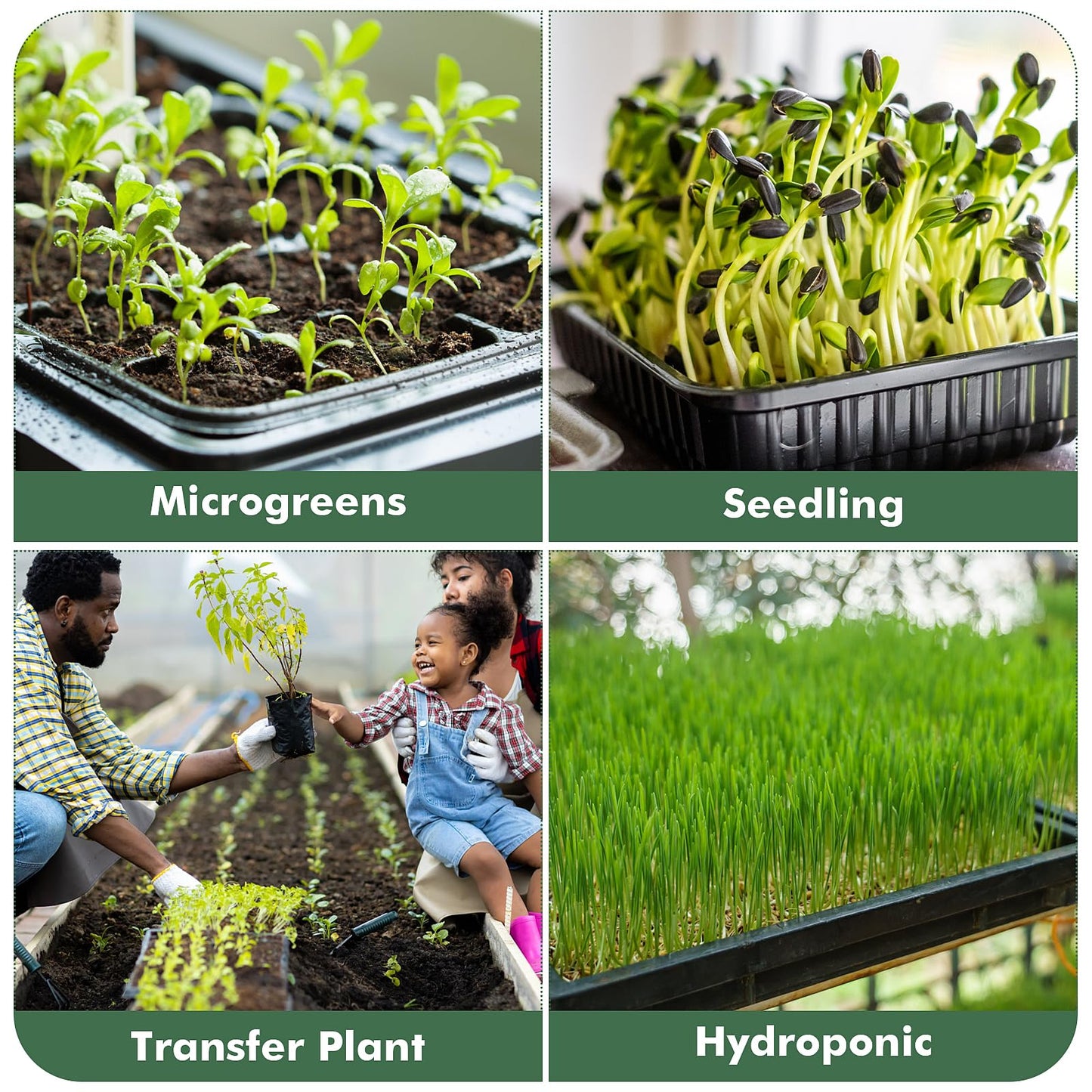 Sckee Upgraded 10 Pack Plant Growing Trays Seed Starting Tray Microgreens Growing Trays Seedling Plant Germination Starter Tray Transplant Fodder Flats, No Holes, No Leakage, Reusable (1017)