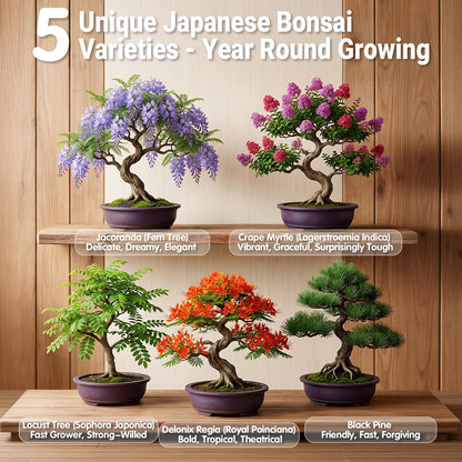 JELHFIP Bonsai Tree Starter Kit for Beginners 5 Unique Indoor Bonsai Trees with Gardening Tools DIY Bonsai Growing Kit Perfect Gifts for Women Men Plant Lovers for Birthday Mothers Day Housewarming