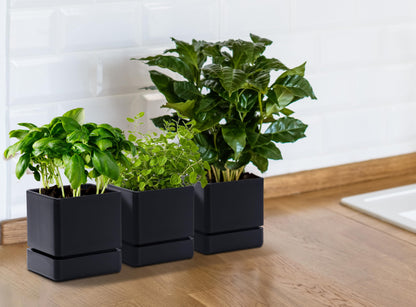 D'vine Dev 4 Inch Herb Planter Pot, Plastic Planter with Drainage Holes and Saucer, Modern Decorative Gardening Pot for Indoor Plants, Flowers, Herbs, Succulents, Black, Set of 3, 76-Y-B3-1
