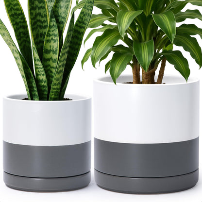 D'vine Dev 8.2 Inch & 10 Inch Ceramic Planter Pot for Plants with Drainage Hole and Saucer, Large Plant Pots Set, White/Speckled Grey, 94-G-L-6
