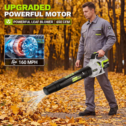 Leaf Blower Cordless, 650 CFM Electric Leaf Blowers with 2 x 4.0Ah Batteries and Charger, 2 Speed Modes, Lightweight Blower for Blowing Leaves, Patio, Yard Cleaning, Blowers for Lawn Care and Dust