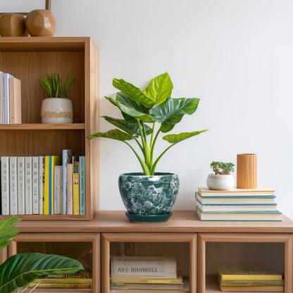 Thirtypot 6 Inch Planter - Ceramic Plant Pots Indoor with Drainage Hole and Saucer, Indoor Plant Pots for Flowers Plants, Round Modern Small Planter, Bedroom Decor, Plants Lover Gift, Bubble Green
