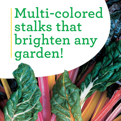 Bonnie Plants Swiss Chard 19.3 oz. 4-Pack