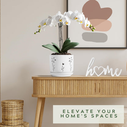 Thriving Thicket 2 Pack, 5 + 6 Inch White Orchid Pots with Holes and Saucer, Ceramic Orchid Planters for Repotting with Drainage Holes and Tray, Plant Flower Pot containers for Orchid Indoor Outdoor