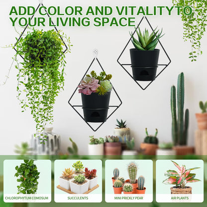 Koalaime 3 Sets Wall Planters for Indoor Plants Geometric Hanging Planters for Indoor Plants - Self-Watering Flower Pots with Black Metal Holder, Mounted Succulent Planter, 5" Black Plant Pot