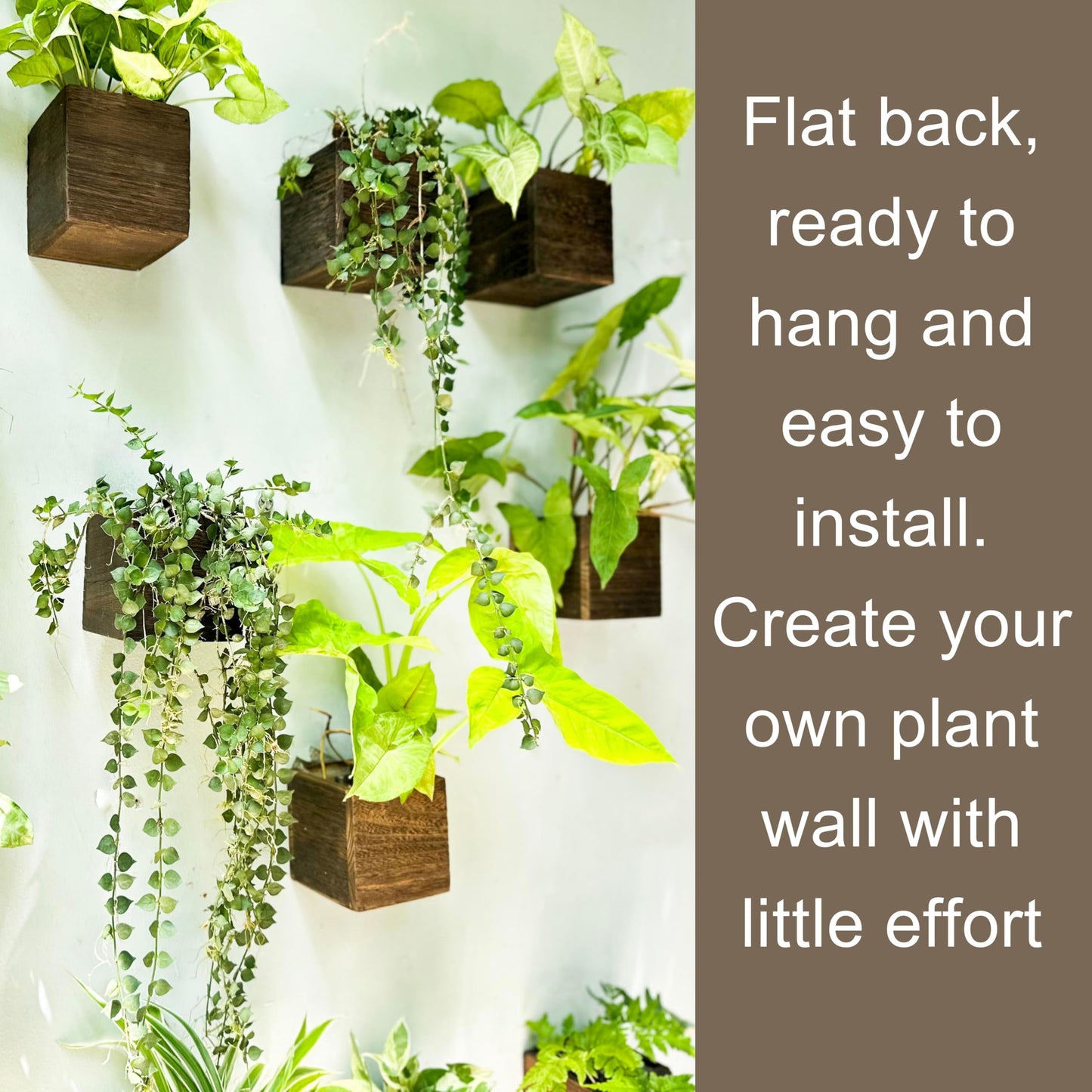 LaLaGreen Wood Planter Boxes for Plants (4x4 Inch, 8 Pack) Small Square Wall Mounted Planters for Indoor Plant, Herb Wooden Box Hanging Flower Pot Plant Holder Outdoor Fence Vertical Garden Home Decor