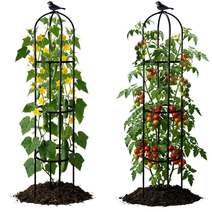 2 Pack Garden Obelisk Trellis for Climbing Plants, 6FT Plant Cages and Supports, Tomato Cage Tall Plant Stakes Indoor & Outdoor, Trellis for Potted Plants, Vegetables, Fruits, Flowers, Pots, Vines