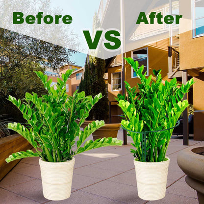 HiGift Plant Support Stakes, 6 Pack Metal Peony Cages and Supports, Garden Stakes Plant Support Cage, Large Plant Support Ring for Outdoor Indoor Snake Plant Peony Rose Flowers Vine (10" W x 15.8" H)