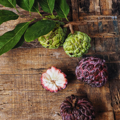 Red Sugar Apple Tree Live Plant, Sugar Apple Fruit Plant, 3 Gallon Pot, No Ship to CA, 2 to 3 Feet Tall
