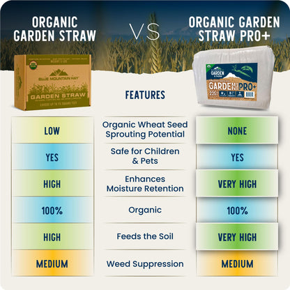 Blue Mountain Hay Organic Garden Straw (5 lb) - Natural Mulch for Gardening, Flower Beds & Landscaping, New Lawn Grass Seeding, Compost, Raised Garden Bed, Cat Grass & Grass Seed