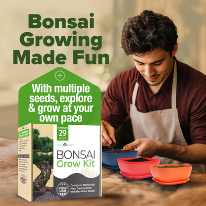 HOME GROWN Bonsai Tree Kit – 6 Heirloom Varieties with Unique Pots – DIY Bonsai Starter Kit for Adults & Beginners – Christmas Gift for Men Women Gardeners Plant Lovers – Indoor Growing Kit