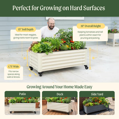 Vego garden Classic Rolling Citrus Tree Planter – 1.75' Mobile Metal Raised Garden Bed for Patio, Deck, Balcony – Deep Planting Space, Durable & Easy to Move (Modern Gray, 1.75'X1.75')
