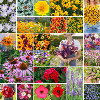 Eden Brothers Southeast Wildflower Mixed Seeds for Planting, 1 lb, 480,000+ Seeds with Cornflower, Blanket Flower | Attracts Pollinators, Plant in Spring or Fall, Zones 3, 4, 5, 6, 7, 8, 9, 10