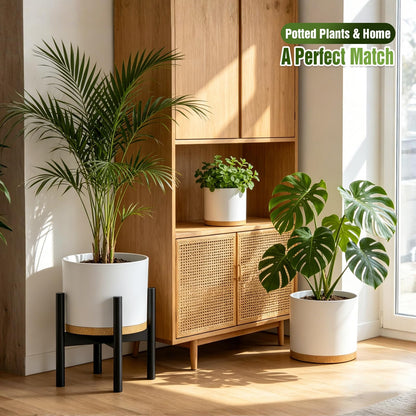 Areutxbis 10/9/8 Inch Large Plant Pots with Drainage Holes and Trays, 3 Pack Modern Minimalist Cylinder Planters for Monstera, Snake Plant, Indoor Outdoor (Matte White & Brown)