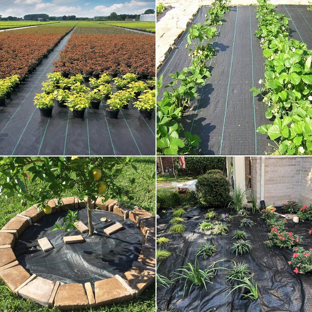 Groweco Weed Barrier Landscape Fabric Heavy Duty 6FT X 100FT Premium 3.2oz Ground Cover Landscape Fabric Gardening Mat,Woven Geotextile Fabric for Underlayment,Commercial Driveway Fabric