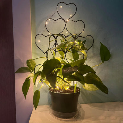 Plant Trellis for Climbing Plants Indoor Outdoor, Trlzey 3 Pack Stackable Metal Trellis - Small Garden Trellis for Potted Plants, Vine Support for Ivy, Flowers, DIY Home Deco